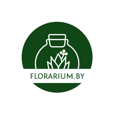 Florarium.by. Мини-сады, флорариумы
