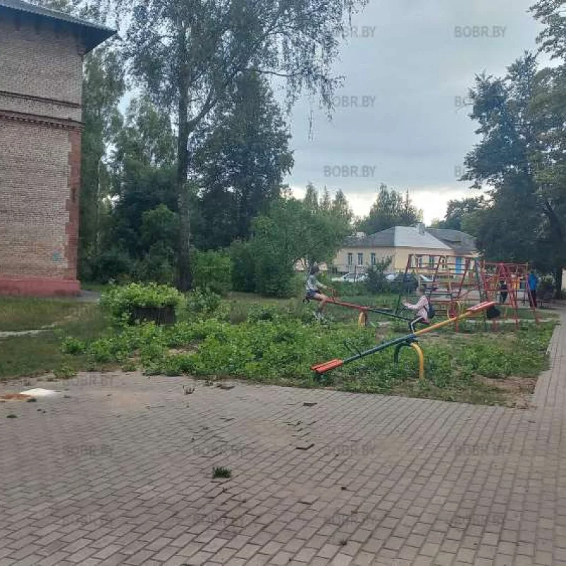 Зеленхоз. Ручки золотые