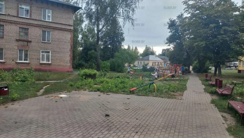 Зеленхоз. Ручки золотые