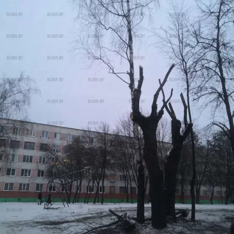 Убрать и не думают 