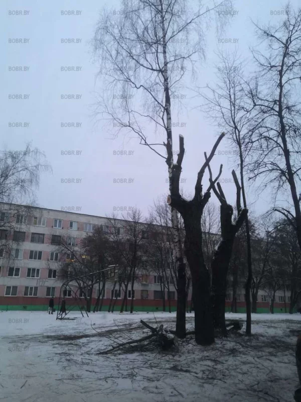 Убрать и не думают 
