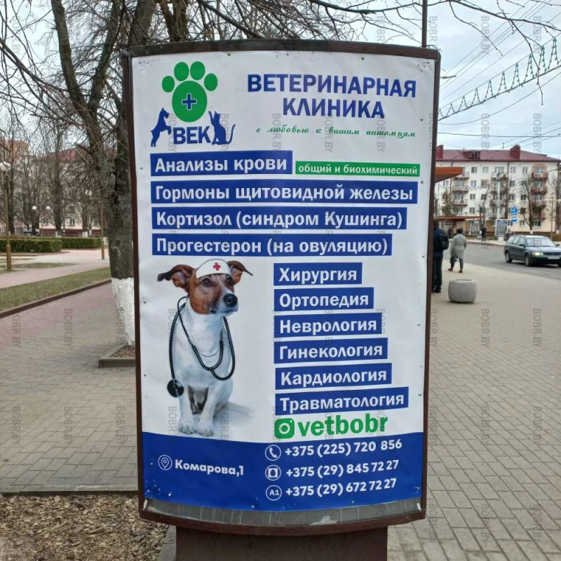 Говорят врачей в городе не хватает..а они есть