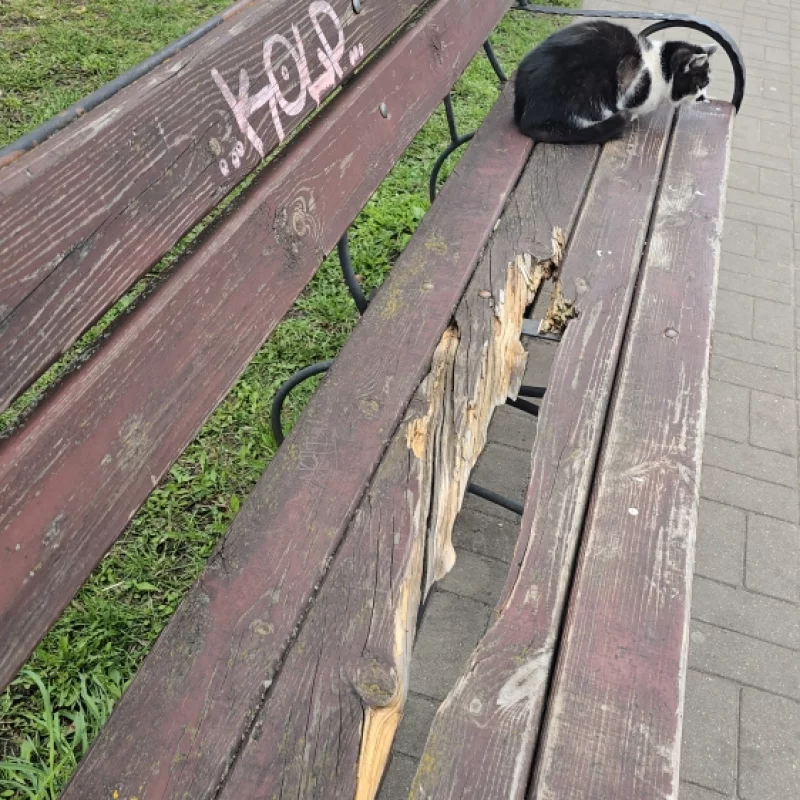 Скамейка которую мы заслужили