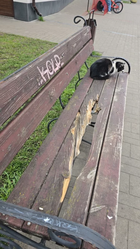 Скамейка которую мы заслужили
