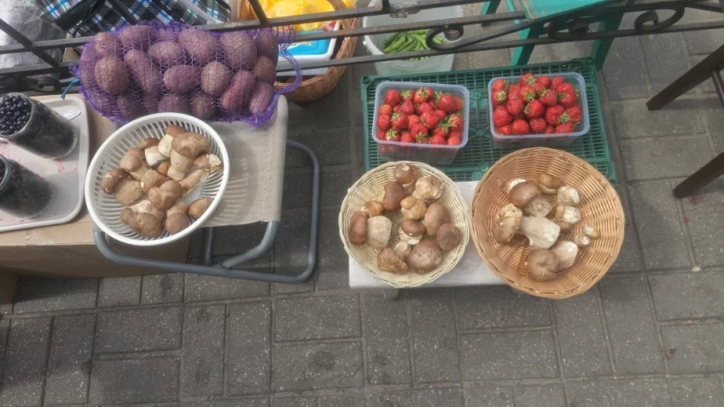 На рынке появились боровики
