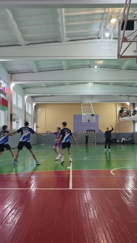 Чемпионат по гандболу. Бобруйск проигрывает ????