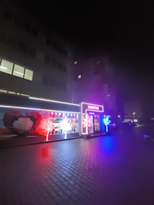 Первые украшения