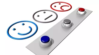 Эффективно ли работает «Одно окно»?