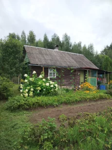 ДАЧУ   5000 уе СТ.Пасека Воротынский сельсовет