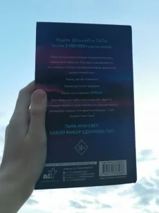 Книга Орлеан. Лия Стеффи
