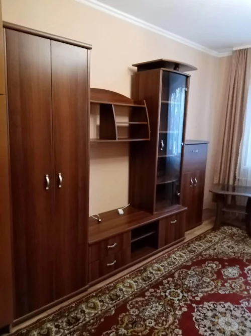 Однокомнатная Доманский