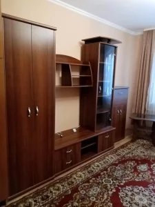 Однокомнатная Доманский