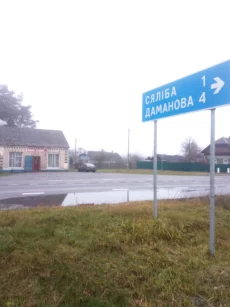 Не достроенный дом с участком 25 соток в д. Ломы