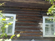 БЕСПЛАТНО. Дом на дрова