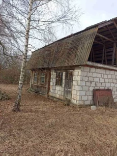 Дом в деревне Березовка