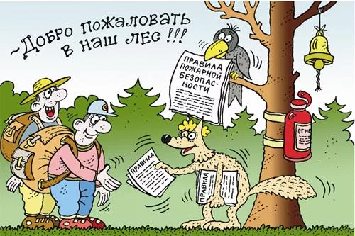 "Типичный папа" жжёт: о безопасности в лесу с юмором