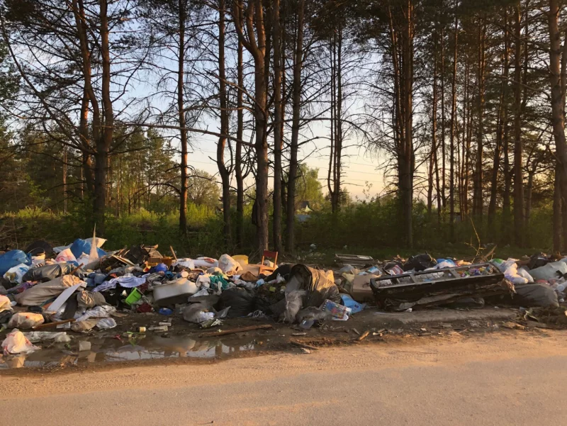 70 юрлиц оштрафовано на 14781,5 руб, ликвидировано 57 свалок: результаты проверок Бобруйского центра гигиены и эпидемиологии в 2023