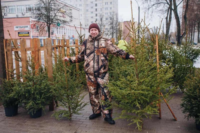 «К Новому году будет дороже»: в Бобруйске начали работу елочные базары