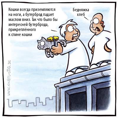 Про кошек