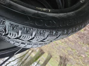 Пара зимы р17