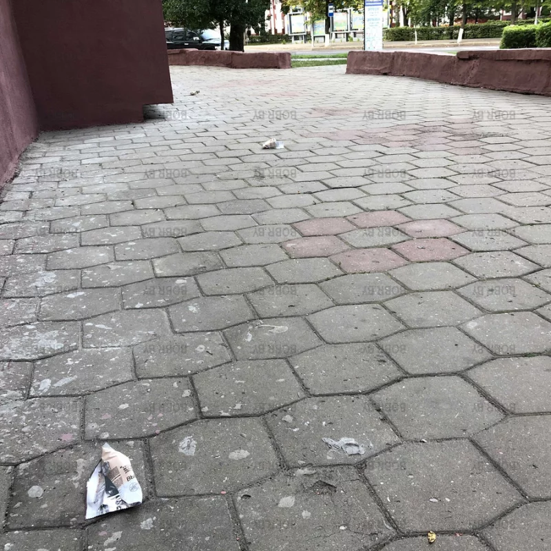 По следам сладкоежки 