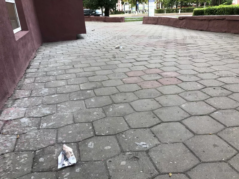По следам сладкоежки 