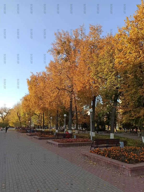 Осень в сквере