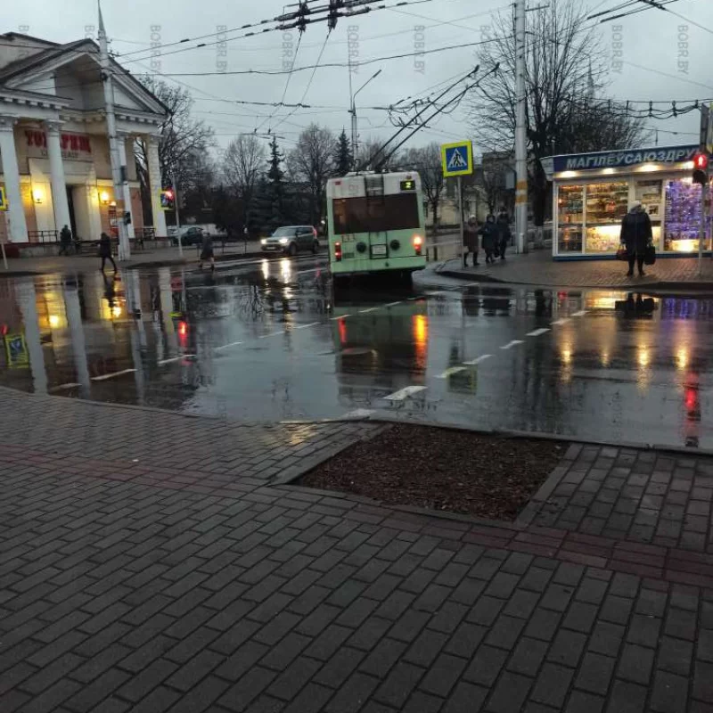 Почему не посадить дерево?
