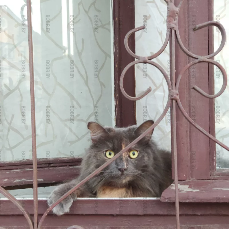 За нами следят!