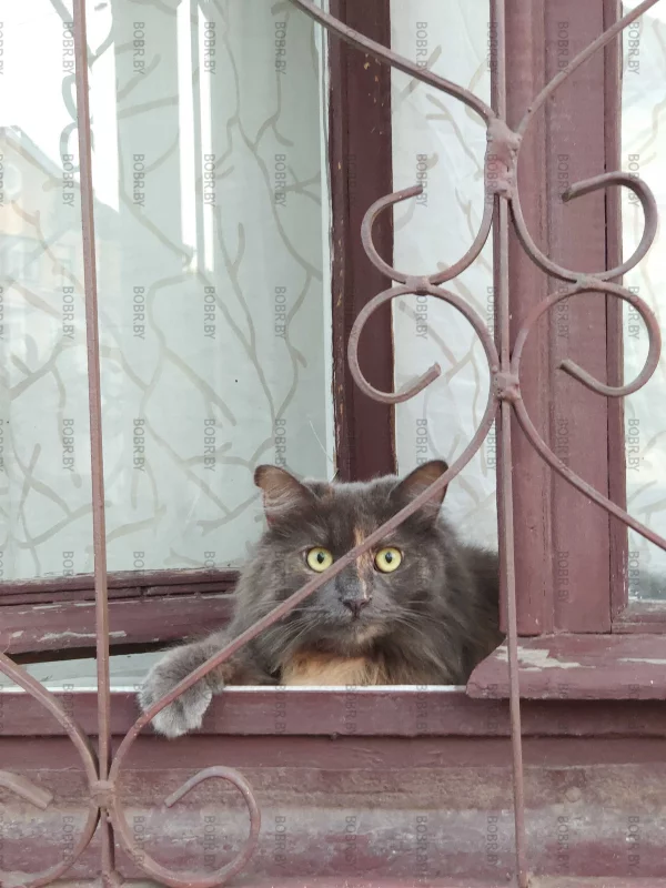 За нами следят!