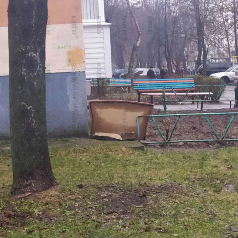 Забор
