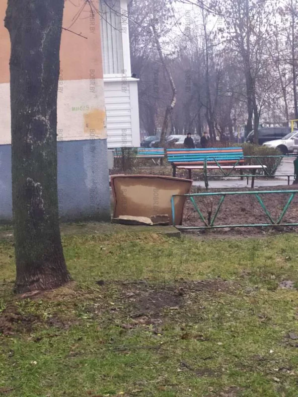 Забор