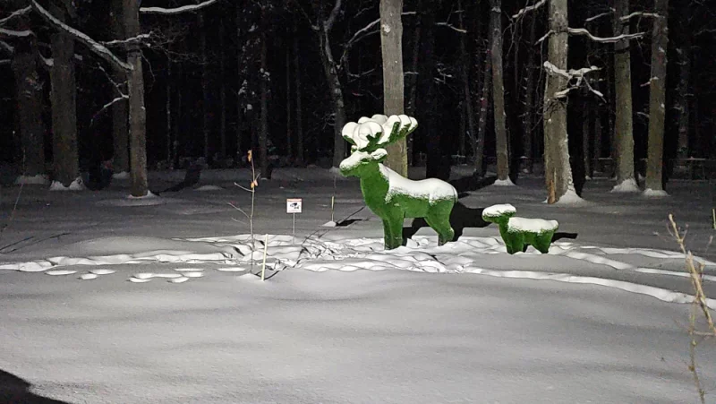 Новые малые формы возле санатория  "Шинник"