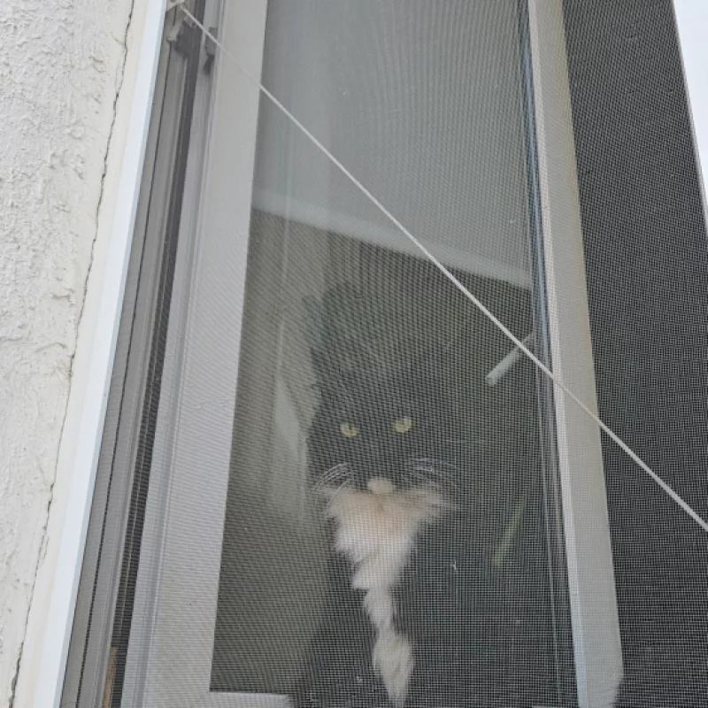 Бобруйские окна