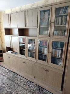 1 комнатную квартиру