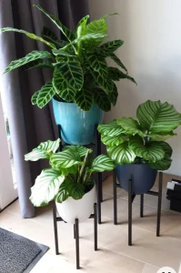 Подставка для цветов