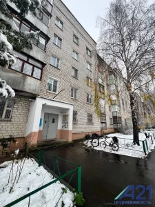 Однокомнатная квартира на улице Пушкина 270