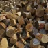 Дрова недорого