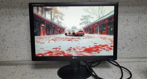 ЖК монитор 19" LG широкоформатный