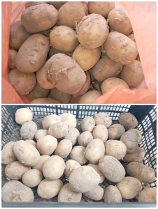 Картофель молодой