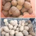 Картофель молодой