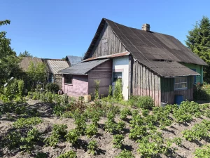 Дом в деревне Барсуки