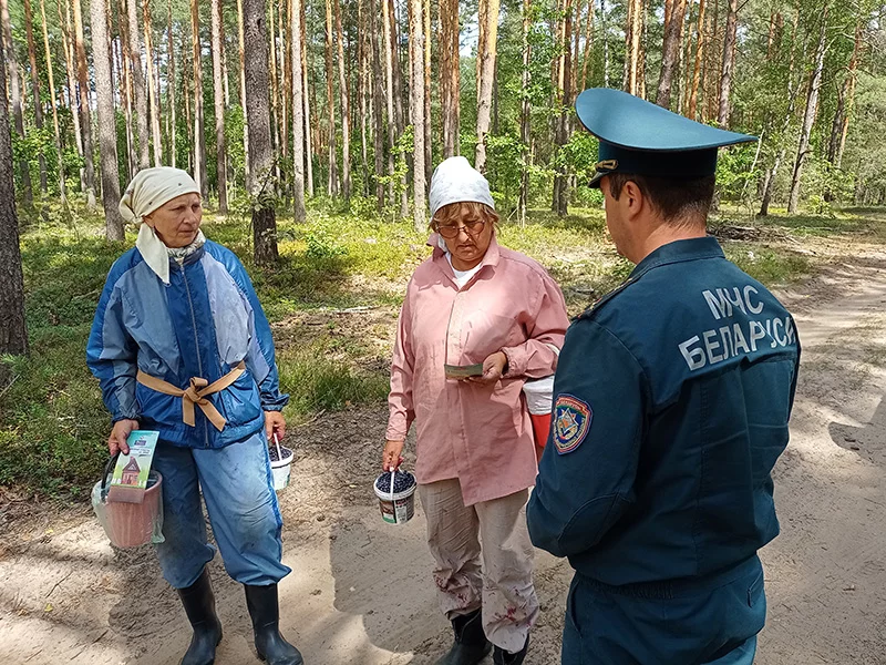 Лесной патруль. На Бобруйщине проходят рейды по безопасному поведению в лесных массивах
