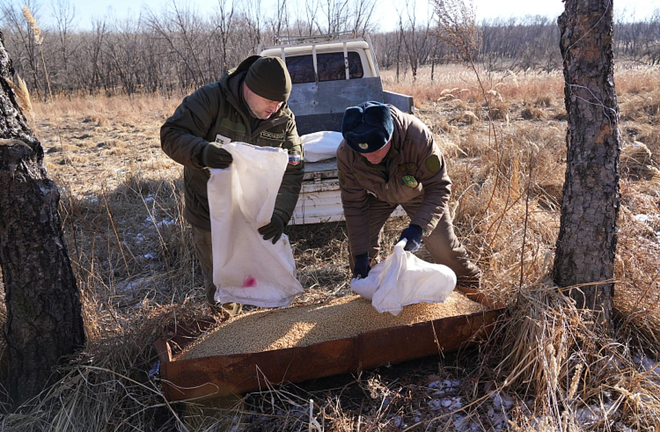 Прокуратура выявила нарушения подкормки животных в Бобруйском и других охотничьих хозяйствах