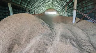 Бобруйский КГК предотвратил порчу почти 500 тонн зерна