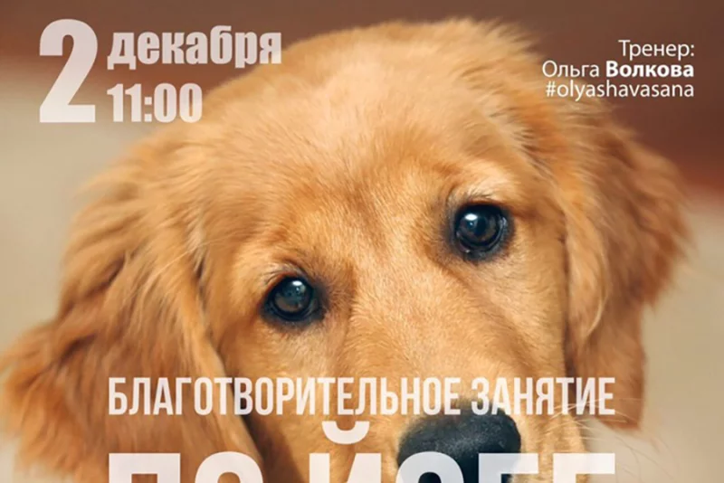 Приглашаем всех желающих 2 декабря!