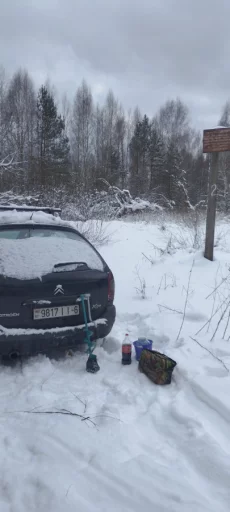 Ситроен Ксара пикассо