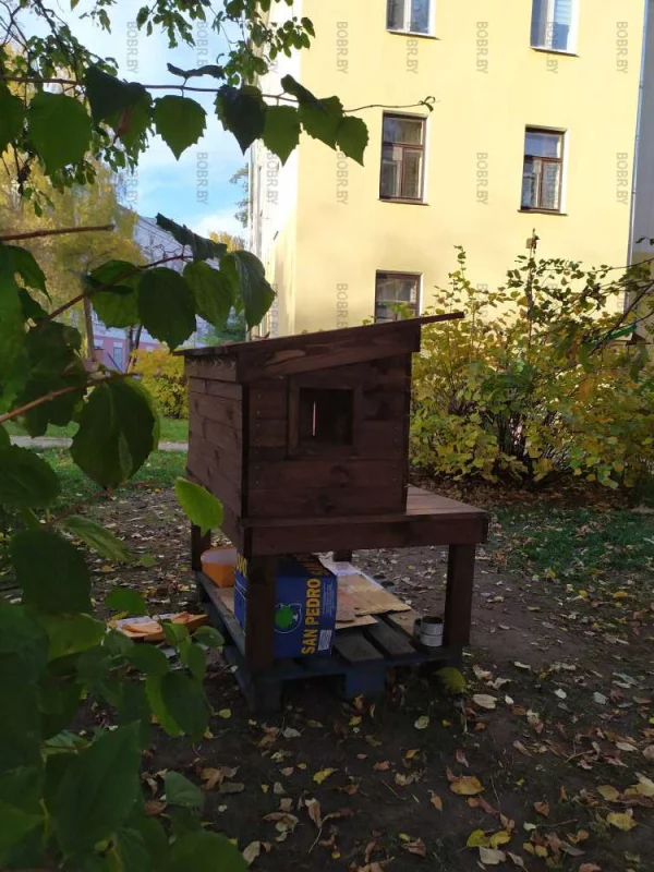 Домик для котиков