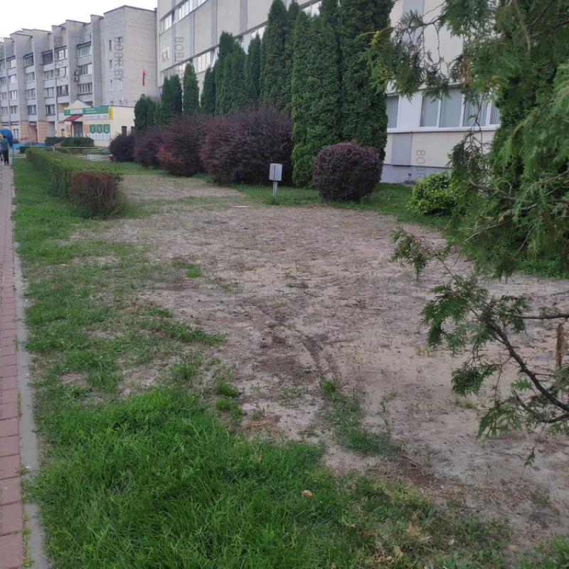 Очень красивый газон прямо возле одной из достопримечательностей Бобруйска 0 километр. Как вы считаете достоин город таких газона в самом центре города?