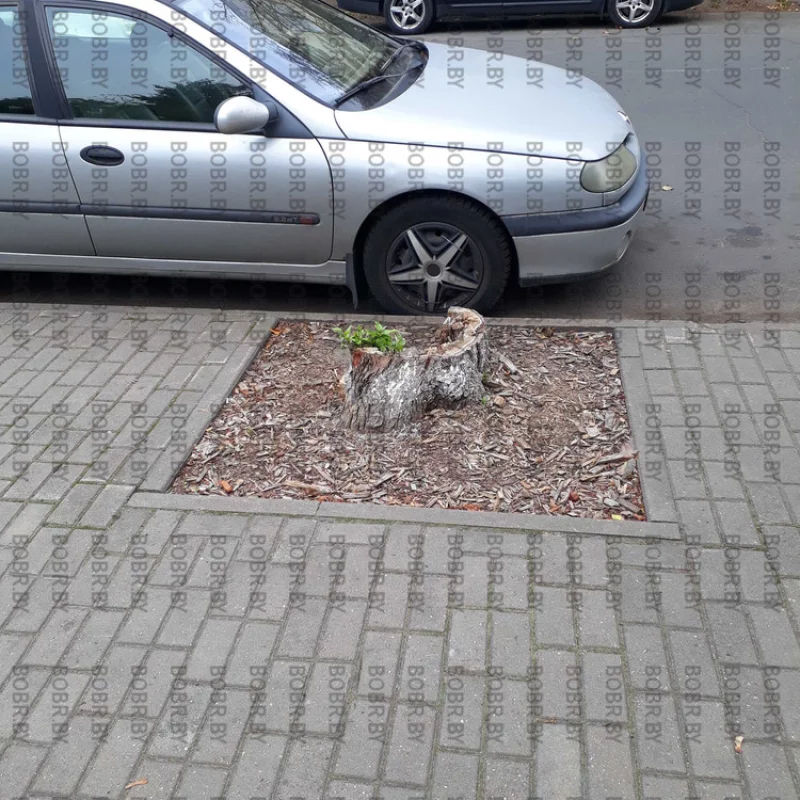 Обрезка